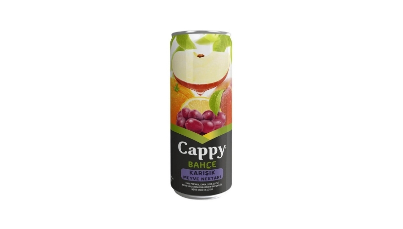 Cappy Meyve Suyu (330 ml)